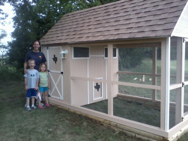 Texas chicken coops