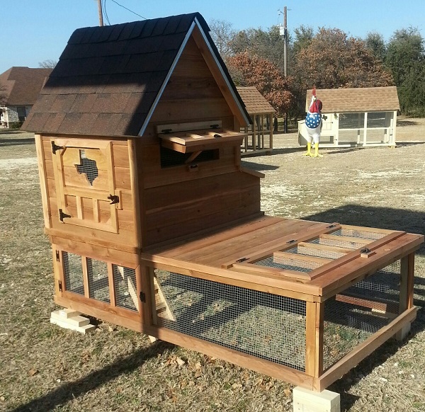 Chicken Coops